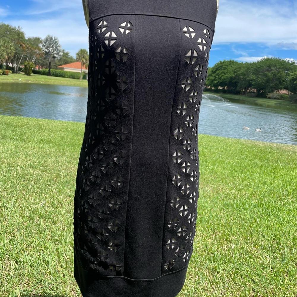 Laundry Dress